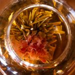 La fioritura dei blooming teas nella teiera in vetro Florian